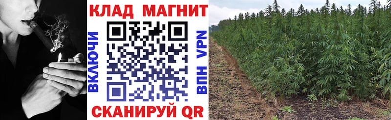 Где купить наркотики Нефтекамск A PVP  АМФ  Канабис  Псилоцибиновые грибы  Меф мяу мяу  Кокаин 
