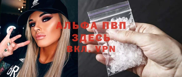 ГАЛЛЮЦИНОГЕННЫЕ ГРИБЫ Дмитриев