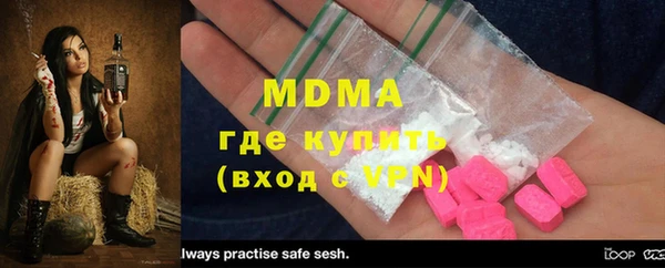 ГАЛЛЮЦИНОГЕННЫЕ ГРИБЫ Дмитриев