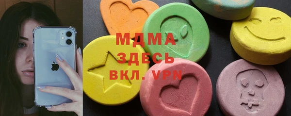 ГАЛЛЮЦИНОГЕННЫЕ ГРИБЫ Дмитриев