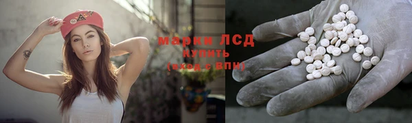 ГАЛЛЮЦИНОГЕННЫЕ ГРИБЫ Дмитриев
