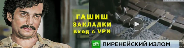 ГАЛЛЮЦИНОГЕННЫЕ ГРИБЫ Дмитриев