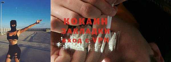 ГАЛЛЮЦИНОГЕННЫЕ ГРИБЫ Дмитриев