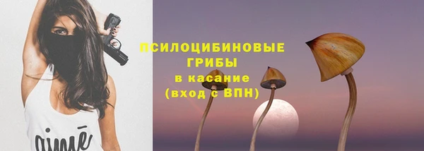 кокс Дмитровск