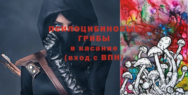 ГАЛЛЮЦИНОГЕННЫЕ ГРИБЫ Дмитриев
