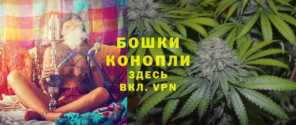 ГАЛЛЮЦИНОГЕННЫЕ ГРИБЫ Дмитриев