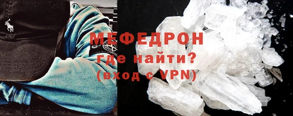 ГАЛЛЮЦИНОГЕННЫЕ ГРИБЫ Дмитриев
