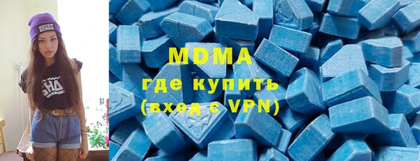 ГАЛЛЮЦИНОГЕННЫЕ ГРИБЫ Дмитриев