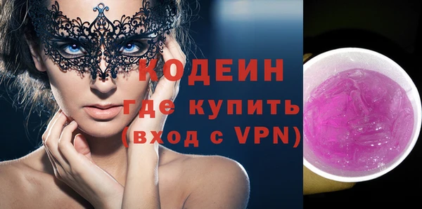 ГАЛЛЮЦИНОГЕННЫЕ ГРИБЫ Дмитриев