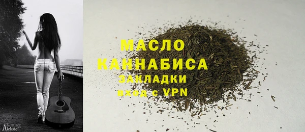 ГАЛЛЮЦИНОГЕННЫЕ ГРИБЫ Дмитриев