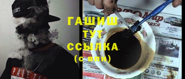ГАЛЛЮЦИНОГЕННЫЕ ГРИБЫ Дмитриев