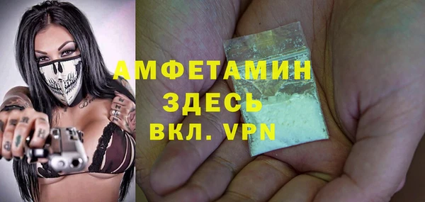 ГАЛЛЮЦИНОГЕННЫЕ ГРИБЫ Дмитриев