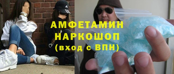 ГАЛЛЮЦИНОГЕННЫЕ ГРИБЫ Дмитриев